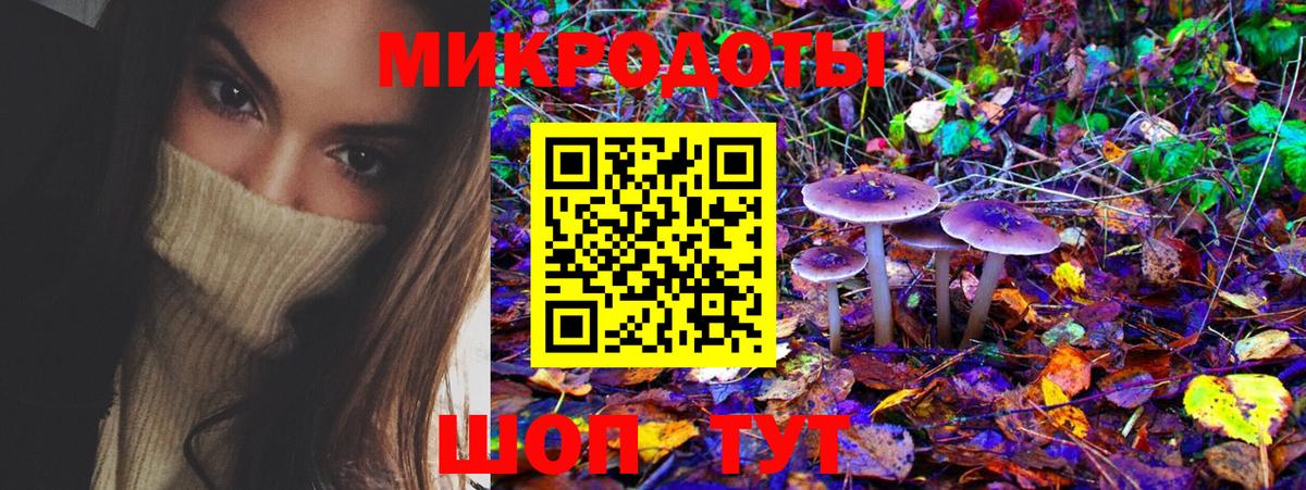 Псилоцибиновые грибы Psilocybine cubensis Городец