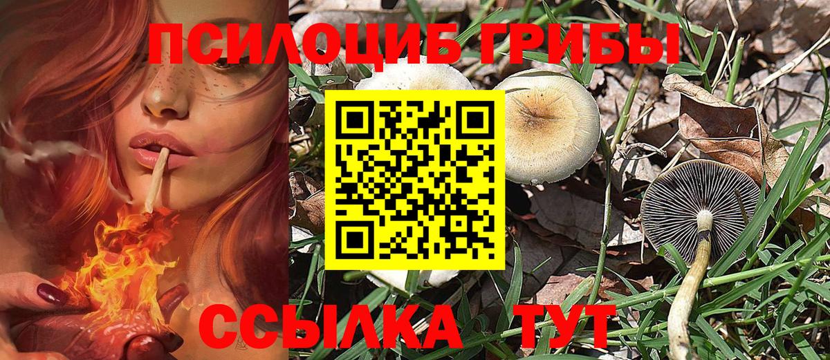 Галлюциногенные грибы Psilocybine cubensis  Галлюциногенные грибы Magic Shrooms  Городец  Вход с VPN 